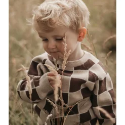 Fliink Humus Check Alon Check Pullover