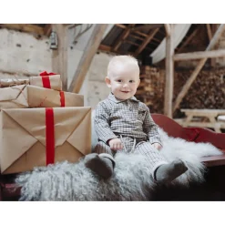 Hust & Claire Biscuit Gordon Check