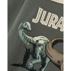 Name It Tea Leaf Sasha Jurassic Sweatshirt