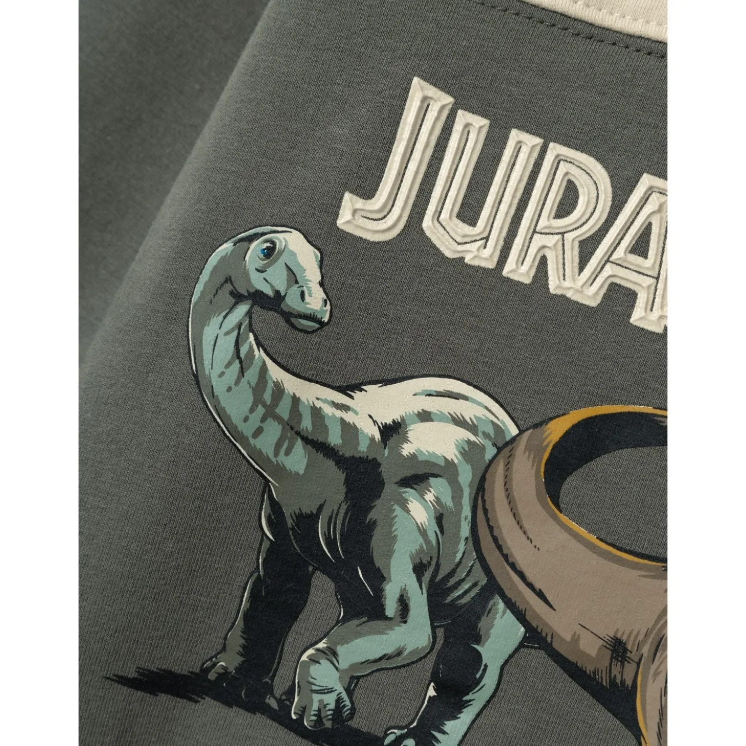 Name It Tea Leaf Sasha Jurassic Sweatshirt