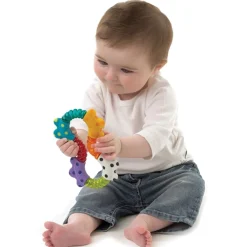 Playgro Click And Twist Rangle