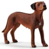 schleich® Farm World Rhodesian Ridgeback