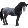 schleich® Horse Club Pura Raza Española Hoppe