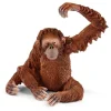 schleich® Wild Life Orangutang Hun