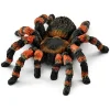 schleich® Wild Life Tarantula